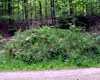 Milestenshøj Milestenshøj