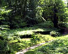 Landskabshaven Landskabshaven