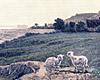 Nordkysten 1820 Nordkysten 1820