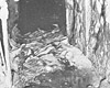 Tunnel Tunnel