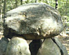 Klosterris Hegn i Nordsjælland Klosterris Hegn i Nordsjælland